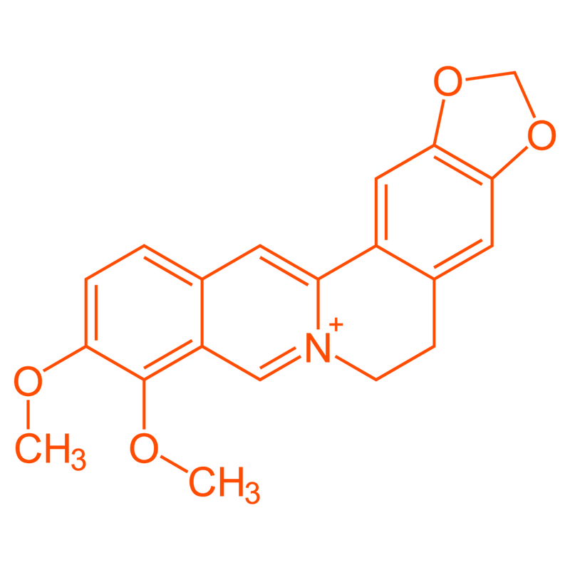 multicolumns-item-image-2