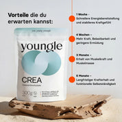 Kreatin - Pulver - youngle