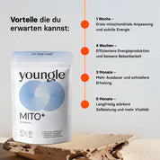 Urolithin A - Pulver - youngle