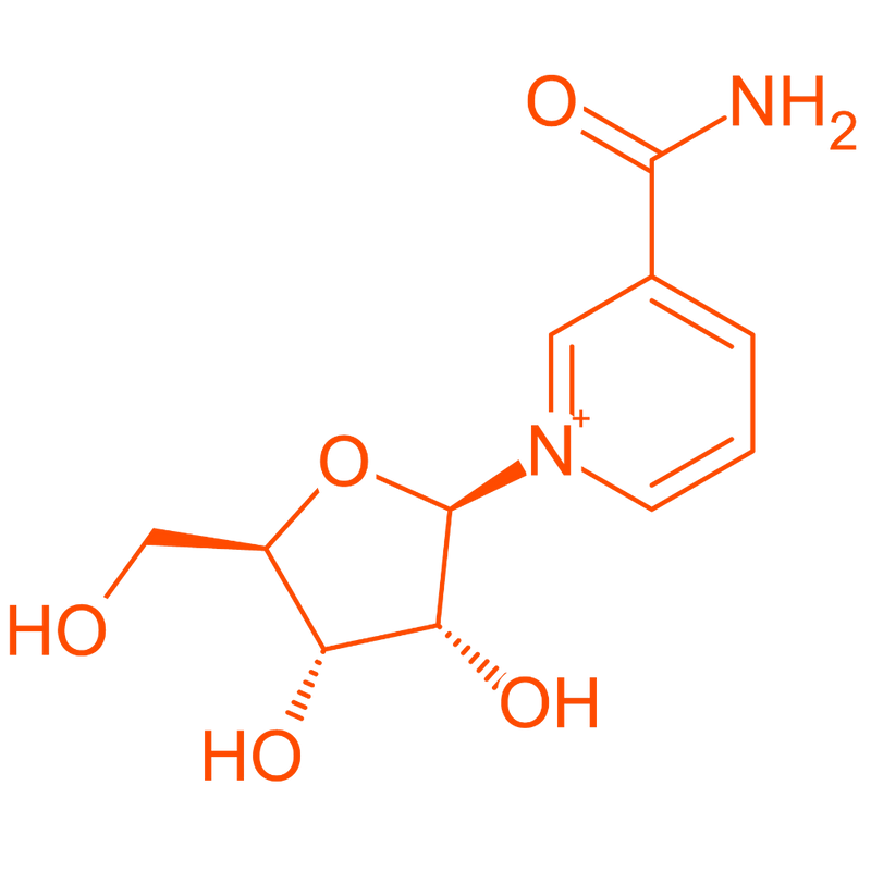 multicolumns-item-image-1
