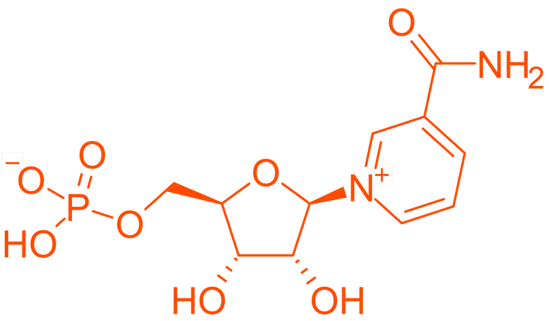 multicolumns-item-image-1