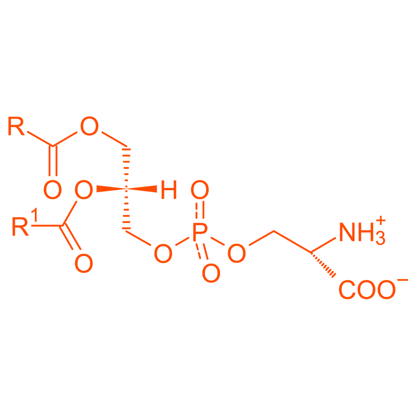 multicolumns-item-image-4