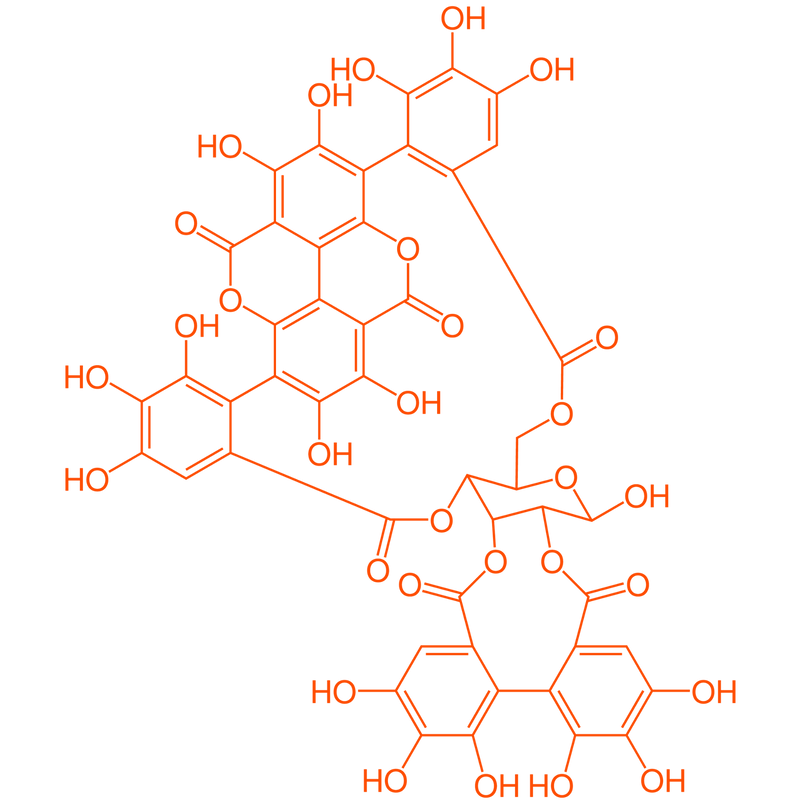 multicolumns-item-image-6