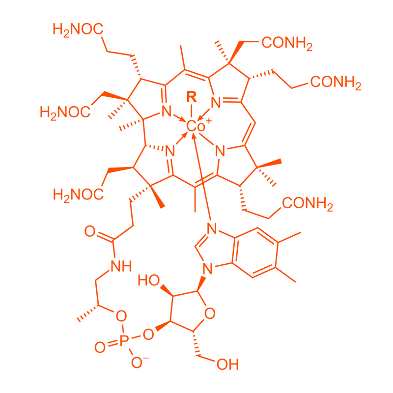 multicolumns-item-image-7
